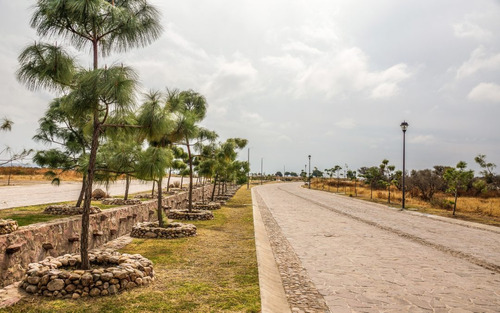 Remato Terrero Puertaluna Reserva Ecológica