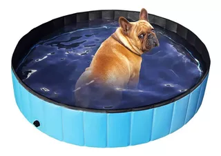 Piscina Para Cães, Piscina Dobrável Em Pvc 160 X 30cm