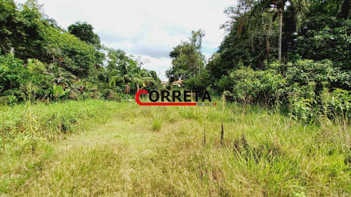 Imagem 6 de 15 de Ótima Area De 42000 M² Com Nascentes Dágua E Lago Na Rodovia Bunjiro - 524