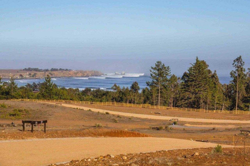 Imagen 3 de 21 de Condominio Alto Morro / Punta Lobos