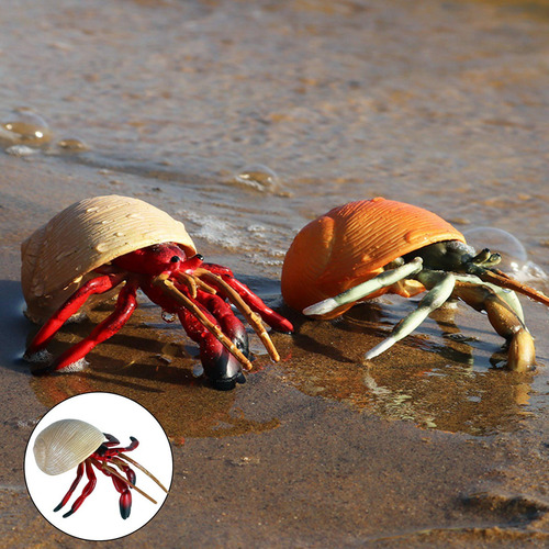 Simulación De Cangrejo Ermitaño, Figura De Animal, Mano De
