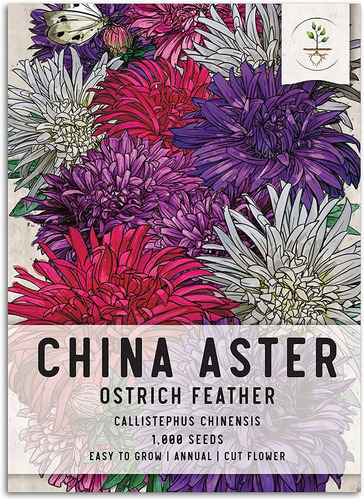 Paquete De 1.000 Semillas, Plumas De Avestruz China Aster (c