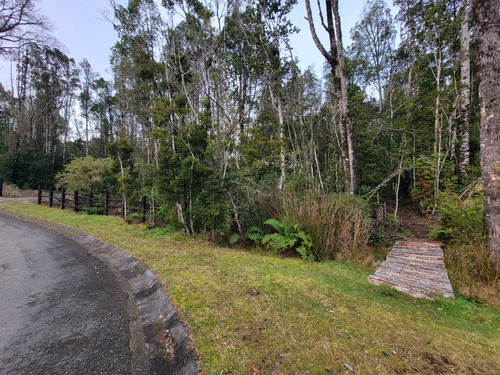 Espectacular Parcela Con Bosque En Condominio Las Tranqueras