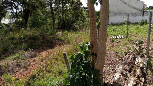 Imagem 4 de 6 de Terreno À Venda Com 3384m² Por R$ 3.790.000,00 No Bairro Campo Comprido - Curitiba / Pr - Te0155