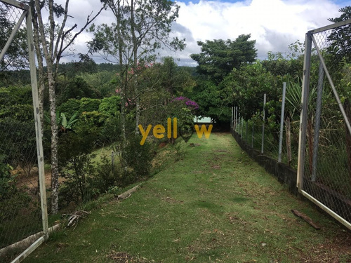 Imagem 10 de 18 de Terreno - Jardim Aracy - Te-1614