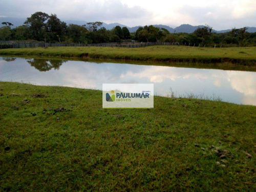 Imagem 9 de 23 de Sítio Com 3 Dorms, Agenor De Campos, Mongaguá - R$ 2.5 Mi, Cod: 827950 - V827950