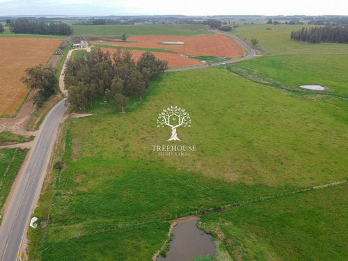 Venta Chacra 5,9 Hectáreas Camino Medellín Y Ruta 104 (ref: Tbr-3183)