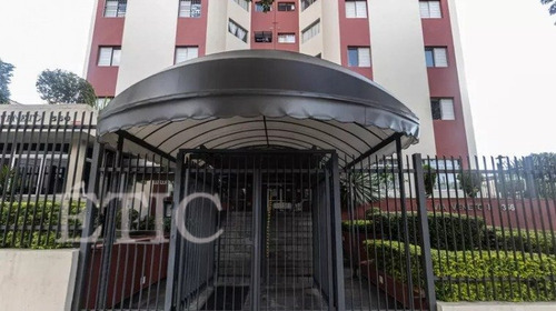 Imagem 12 de 15 de Apartamento - Vila Matilde - Ref: 4144 - V-ap1963