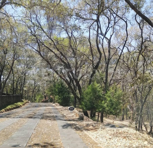 Imagen 12 de 30 de Terreno Venta En La Reserva De Los Encinos, El Arenal, Jalisco.