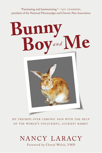 Libro: Bunny Boy And Me: My Triumph Over Chronic Pain With