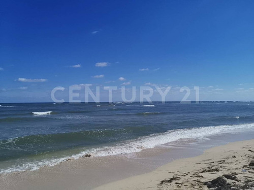 Oportunidad!!se Vende Terreno Frente Al Mar Mahahual-rio Indio P1200