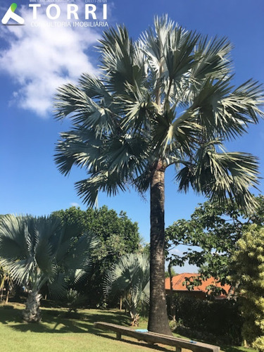 Imagem 26 de 30 de Excelente Chácara À Venda Em Porto Feliz - Sp - Ch00467 - 71059191