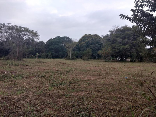 Vendo Terreno 2412 M² Isla De Juana Moza Tuxpan Veracruz