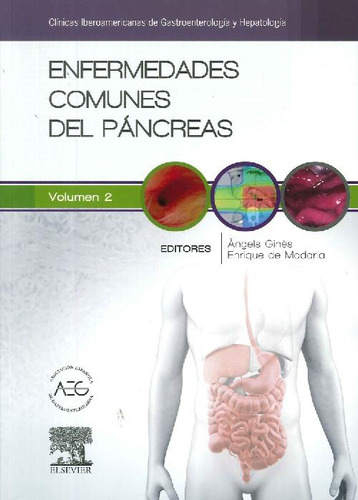 Libro Enfermedades Comunes Del Páncreas Vol 2 De Ángels Giné