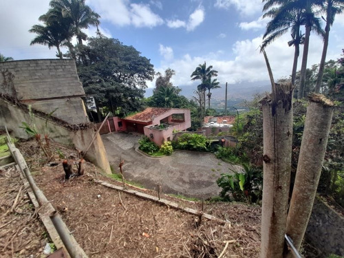 Imagen 10 de 11 de Gran Terreno 1050m²-carretera Alto Hatillo-c.ciega-vista-hatillo-if