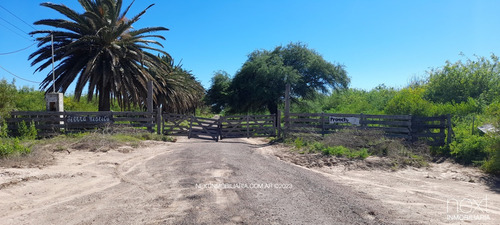 Riqueza Natural: 4345 Has. Para Tu Éxito En Herrera Prov. Santiago Del Estero