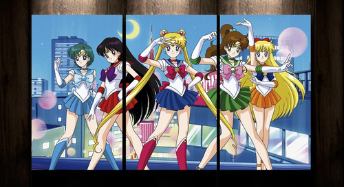 Cuadro Triptico De Tela Sailor Moon Scouts 72cm X 40cm