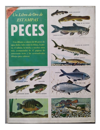 Un Libro De Oro De Estampas  Peces