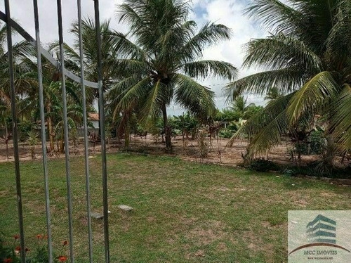 Imagem 16 de 20 de Granja A Venda Rio Do Fogo