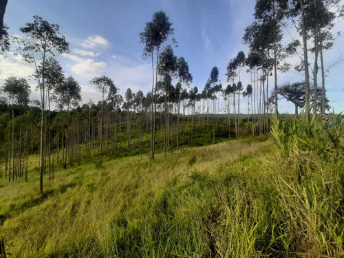 Terrenos De 1000² No Residencial