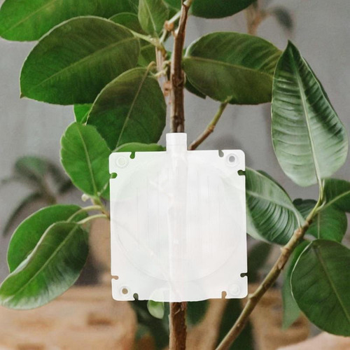 Propagación De Alta Diámetro De 8.5 Cm Transparente