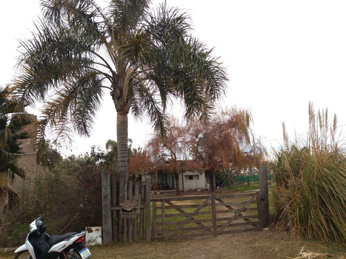 Imagen 1 de 7 de Casa Con Terreno En Roldan