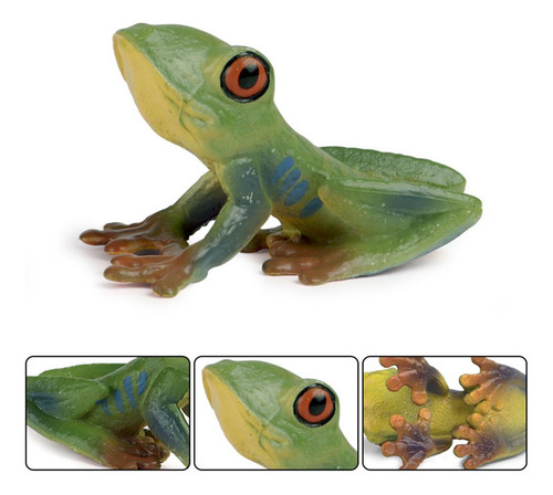 Plástico Niños Ciclo De Insectos Crecimiento De Rana