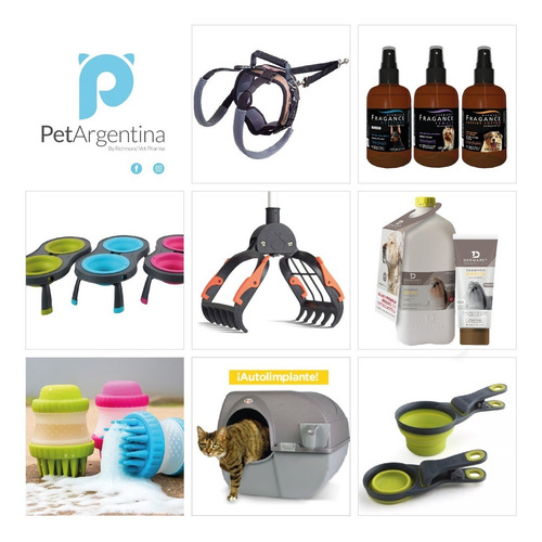 Imagen 5 de 6 de Collar Para Perros Fashion Trend Xs Coastal Pet