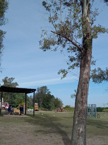 Imagen 2 de 5 de Lotes En Zarate Golf Park