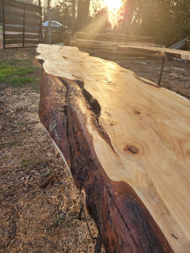 Cubierta De Mesa Madera Ciprés Macrocarpa De 170cmsx80cms
