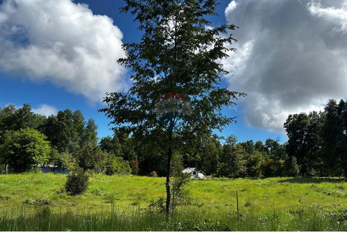 Venta Parcela Pucon 5.000mts2 Segunda Faja