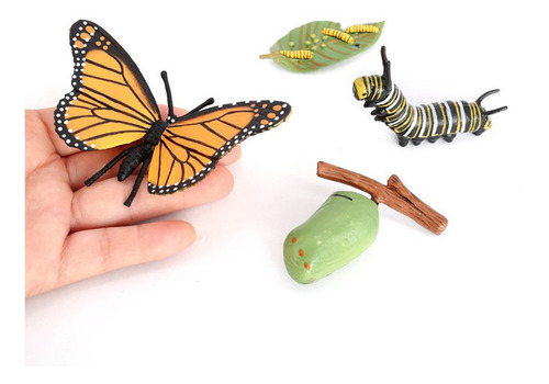 Naturaleza Realista Aniaml Crecimiento Educación Infantil Naturaleza Realista Aniaml Crecimiento Educación Infantil