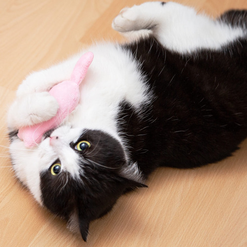 Juego De Almohadas Catnip Toy Pretty Kitty Cat Con 6 Juguete