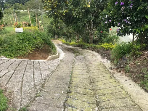 Venta Finca Productiva Cafe Platano Pasto Circasia - 23 Cuadras