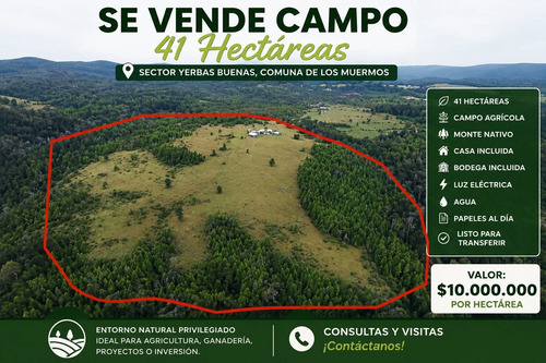 Se Vende Campo De 41 Hectáreas Con Casa Y Bodega
