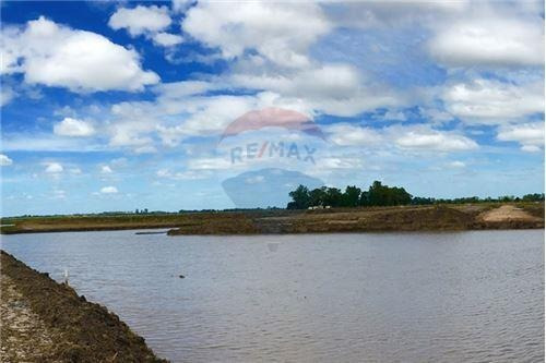 Imagen 7 de 12 de Venta Lote Al Lago Campos De La Enriqueta La Plata