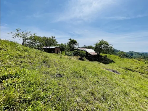 Se Vende Finca Productiva En San Roque, Antioquia.