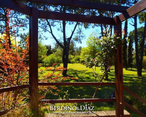 Hermosa Casa Con Excelente Entorno Ubicada En Pleno Corazón De Rincón Del Indio- Ref: 56