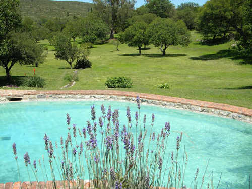 Imagen 3 de 30 de Se Venden 10 Ha En Valle Hermoso Con Servicios
