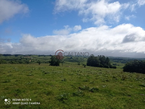 Imagen 11 de 25 de Venta De Campo, Maldonado.campo De 41 Hectáreas, Próximo A Pueblo Edén - Pueblo Eden