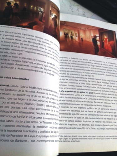 Guia Del Museo Nacional De Bellas Artes-autores Varios (Usado)