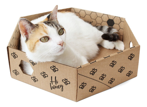 Caixa Hexagonal De Papelão Beebox Para Gatos