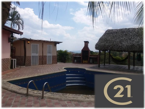 Imagen 4 de 13 de Mini Finca En Venta En Campo Carabobo