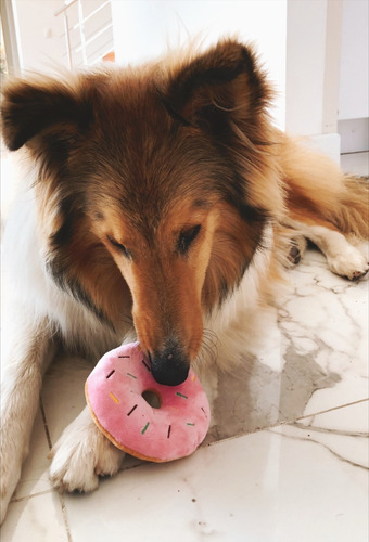 Imagen 2 de 4 de Dona Masticable Con Sonido Para Perro