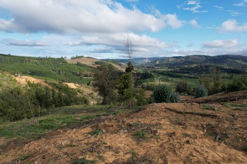 Imagen 12 de 14 de Oferta Hermoso Terreno En Lago Vichuquén - Vista Al Lago