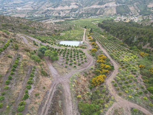 Parcela Agrícola Con Producción En Los Maquis