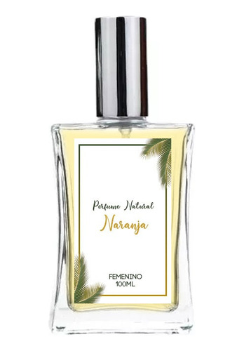 Perfume Cítrico Naranja 100ml - mL a $909