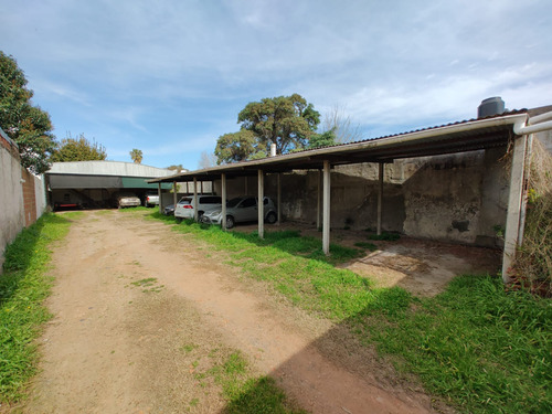 516 E/- 6bis Y 7. Vendo Local Y Cocheras S/ Lote 10 X 40 Mts. Retasado!! Oportunidad! Antes U$s 75.000.- Ahora U$s 59.000.-