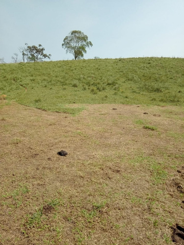 Imagem 6 de 13 de A20- Residencial De Chácaras Leão De Judá A Partir 45 Mil