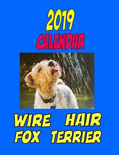 2019 Calendar Wire Hair Fox Terrier Dog Weekly Calendar, Per